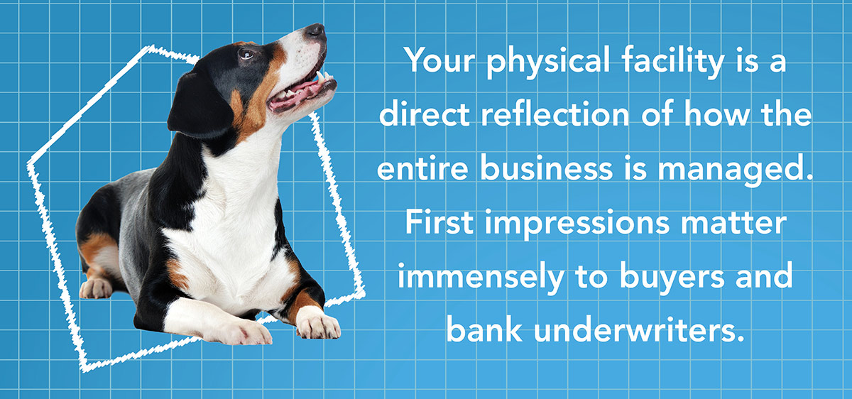 Tri-color dog next to text about physical facility management on a grid background.